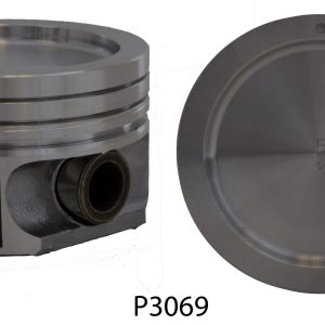 P3069 Piston Set